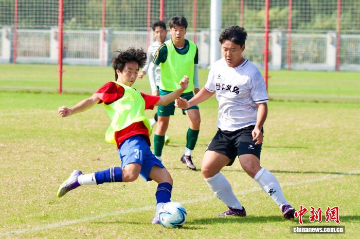 探访浙江足球青训体系：新生力量为何在体教融